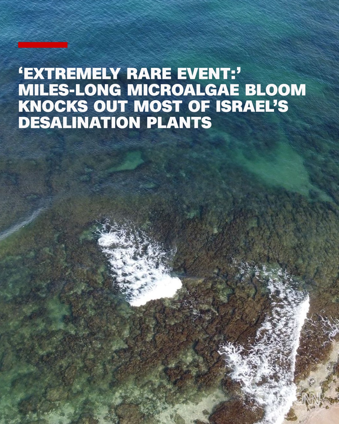 Massive Microalgae Bloom Paralyzes Israel’s Desalination Network
